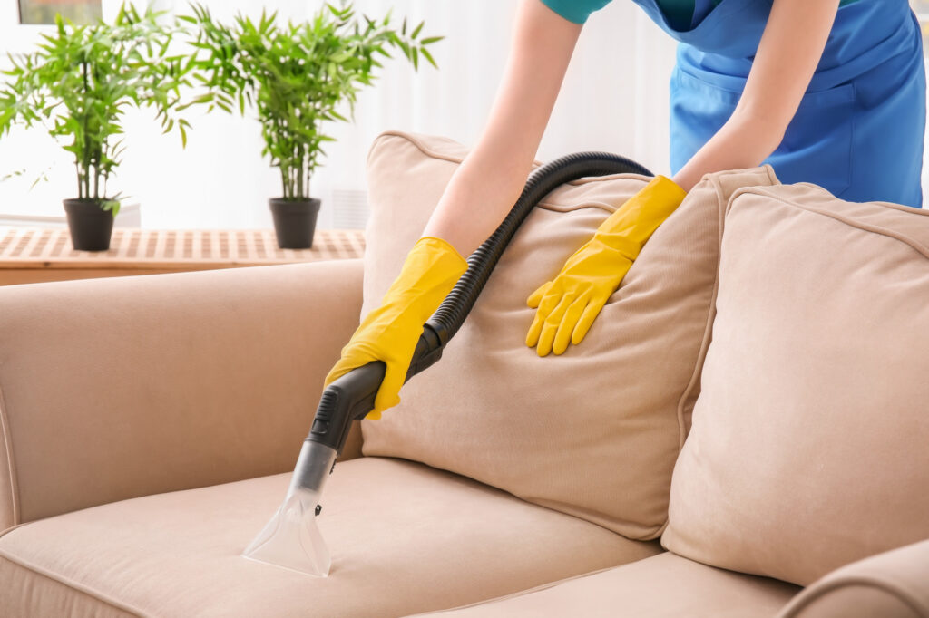 How to Clean Fabric Sofa Upholstery Guide